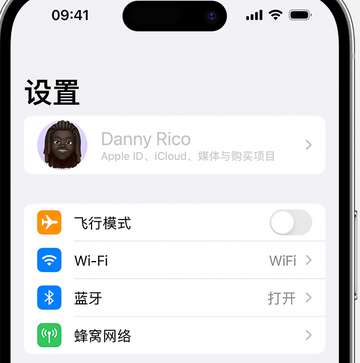 神湾镇appleID维修服务iPhone设置中Apple ID显示为灰色无法使用