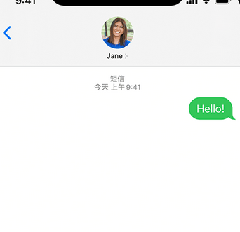 神湾镇apple维修iPhone上无法正常发送iMessage信息