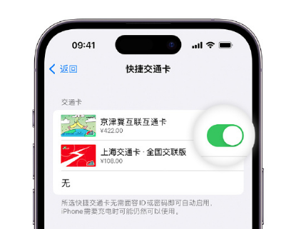 神湾镇apple维修点分享iPhone上更换Apple Pay快捷交通卡手绘卡面 