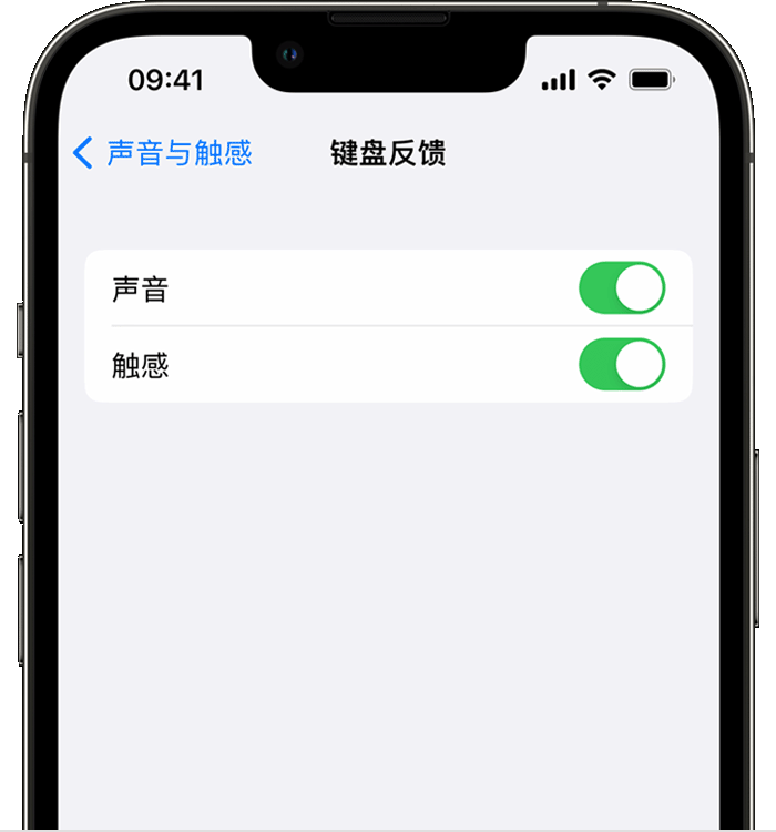 神湾镇苹果14维修店分享如何在 iPhone 14 机型中使用触感键盘 