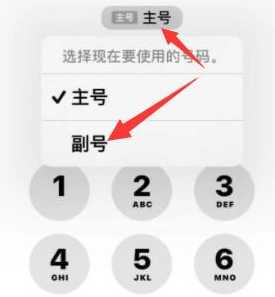 神湾镇苹果14维修店分享iPhone 14 Pro Max使用副卡打电话的方法 