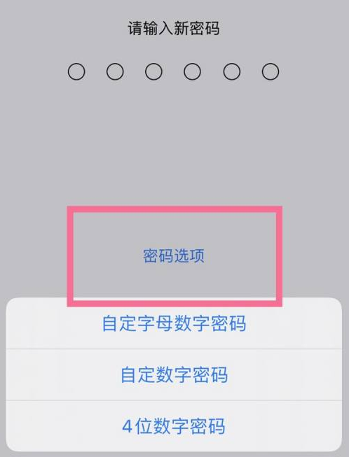 神湾镇苹果14维修分享iPhone 14plus设置密码的方法 