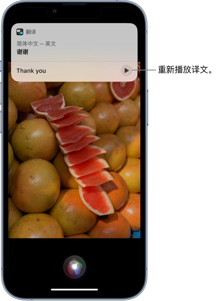 神湾镇苹果14维修分享 iPhone 14 机型中使用 Siri：了解 Siri 能帮你做什么 