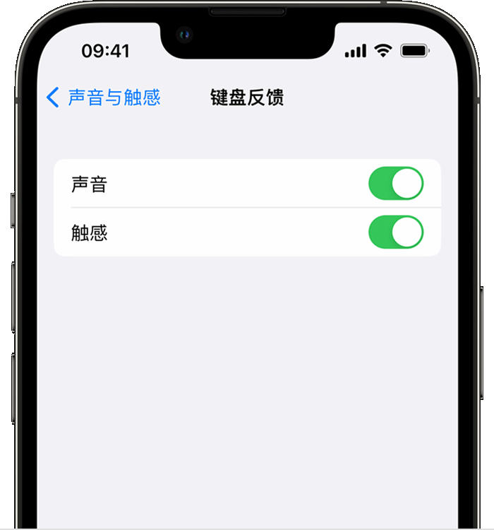 神湾镇苹果14维修分享iPhone 14 系列机型如何开启键盘声音或触感反馈 