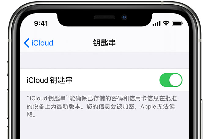 神湾镇苹果手机维修分享在 iPhone 上开启 iCloud 钥匙串之后会储存哪些信息 