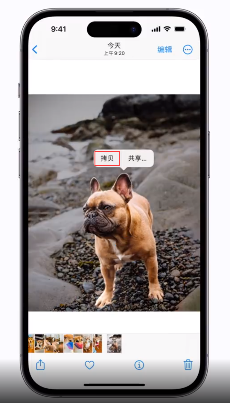 神湾镇苹果手机维修分享 iOS 16 自带一键抠图功能 