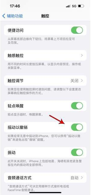 神湾镇苹果手机维修分享iPhone手机如何设置摇一摇删除文字 