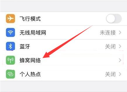 神湾镇苹果手机维修分享iPhone手机4G网络怎么设置成5G网络 