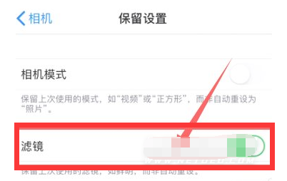 神湾镇苹果13维修分享iPhone13拍照有绿点是怎么回事 