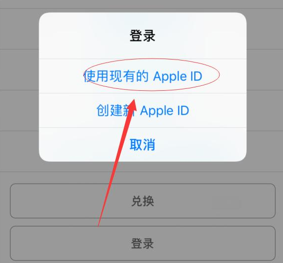 神湾镇苹果手机维修分享两台iPhone设备可以同时登录一个Apple ID吗 