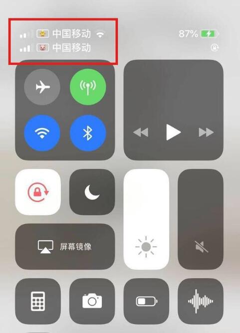 神湾镇苹果手机维修分享为 iPhone 12 双卡设置标签 