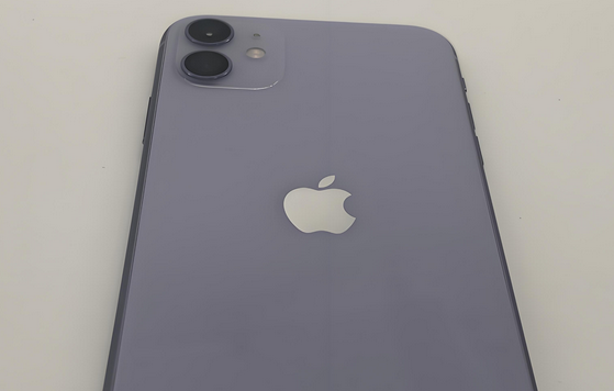 神湾镇苹果11系统维修分享iPhone11手机系统崩溃无法开机如何解决 
