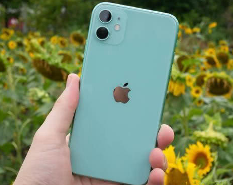 神湾镇苹果维修点分享iPhone 11锁屏密码认知与使用科普 